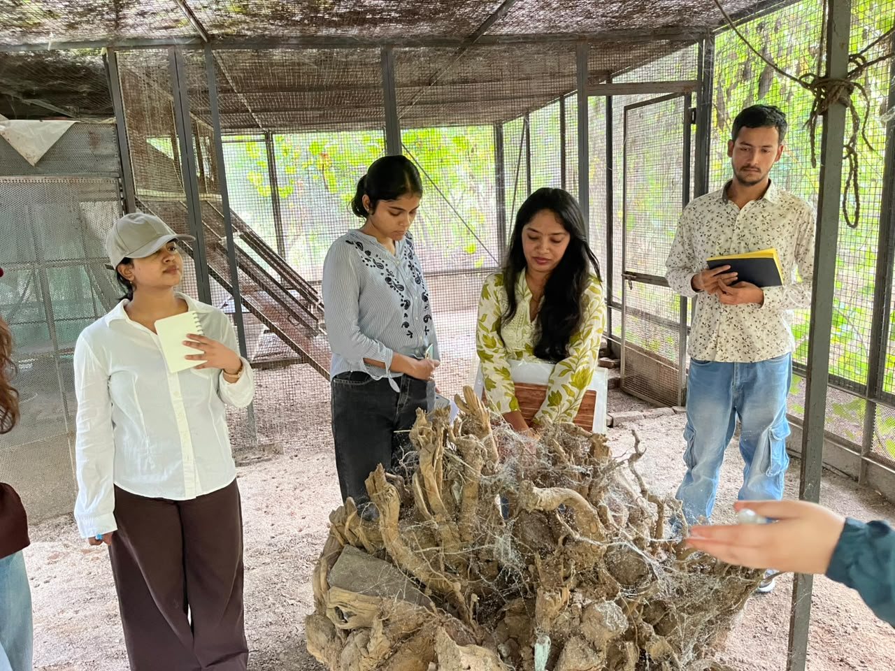 JNU researchers examining a root mass and its fungal networks at Farm8, Aya Nagar
